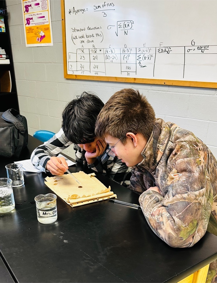 Biology students used an oldie but goodie, the Penny Lab, to study the surface tension of water as well as the properties of cohesion and adhesion.  These principles were demonstrated by adding drops of liquids to Pennies .